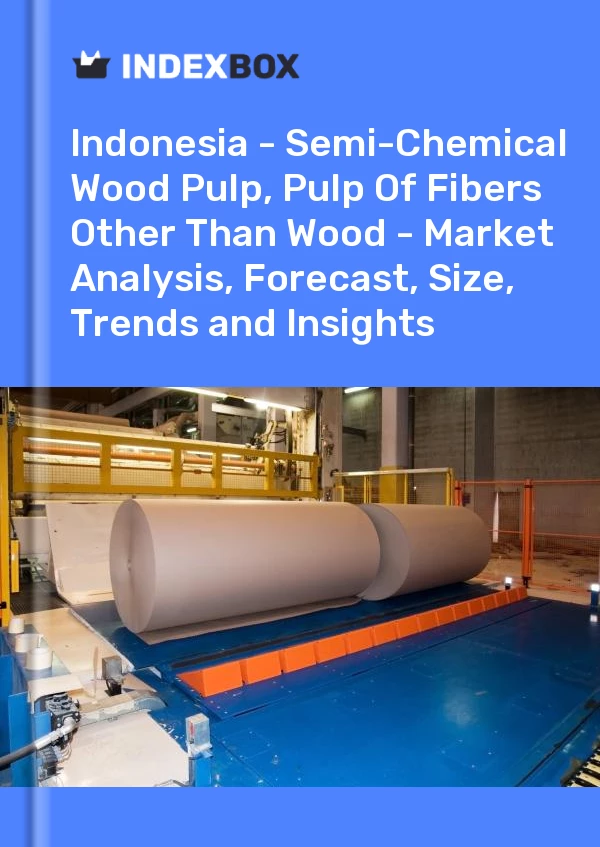 Report Indonesia - Semi-Chemical Wood Pulp, Pulp of Fibers Other Than Wood - Market Analysis, Forecast, Size, Trends and Insights for 499$