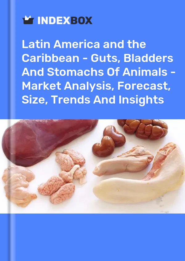Report Latin America and the Caribbean - Guts, Bladders and Stomachs of Animals - Market Analysis, Forecast, Size, Trends and Insights for 499$