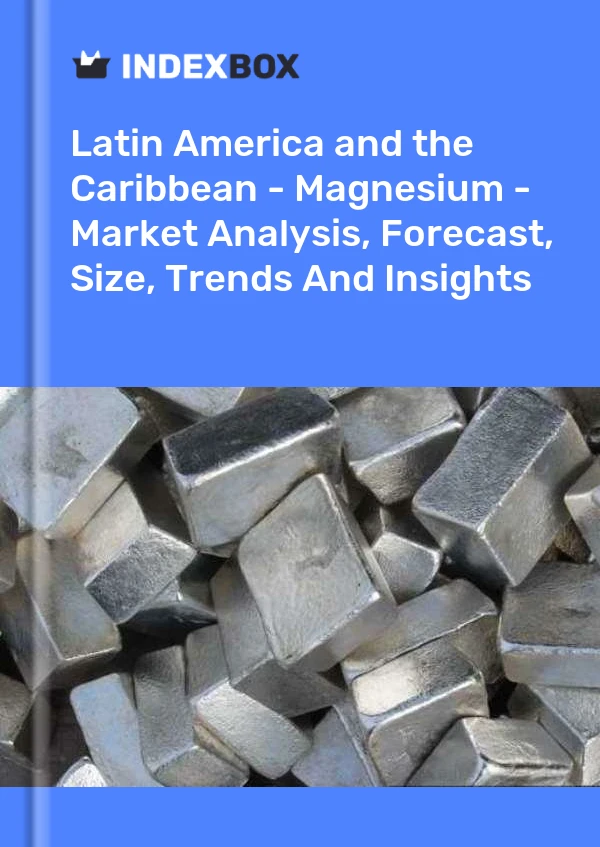 Report Latin America and the Caribbean - Magnesium - Market Analysis, Forecast, Size, Trends and Insights for 499$