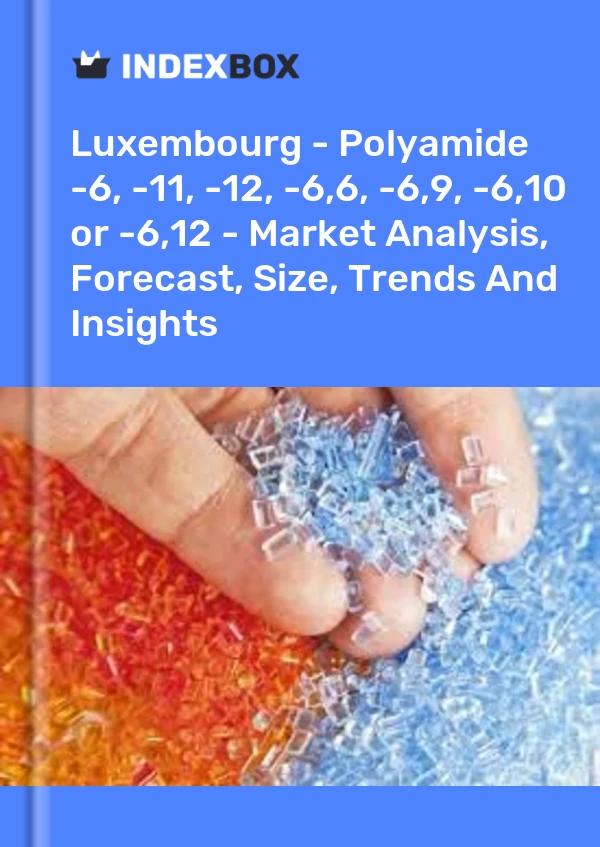 Report Luxembourg - Polyamide -6, -11, -12, -6,6, -6,9, -6,10 or -6,12 - Market Analysis, Forecast, Size, Trends and Insights for 499$