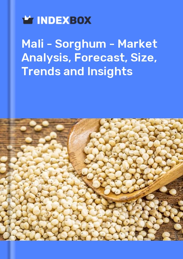 Report Mali - Sorghum - Market Analysis, Forecast, Size, Trends and Insights for 499$