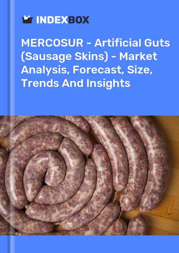Report MERCOSUR - Artificial Guts (Sausage Skins) - Market Analysis, Forecast, Size, Trends and Insights for 499$
