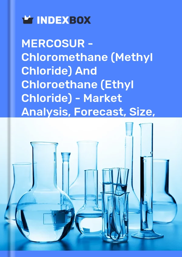 Report MERCOSUR - Chloromethane (Methyl Chloride) and Chloroethane (Ethyl Chloride) - Market Analysis, Forecast, Size, Trends and Insights for 499$