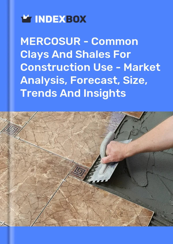 Report MERCOSUR - Common Clays and Shales for Construction Use - Market Analysis, Forecast, Size, Trends and Insights for 499$