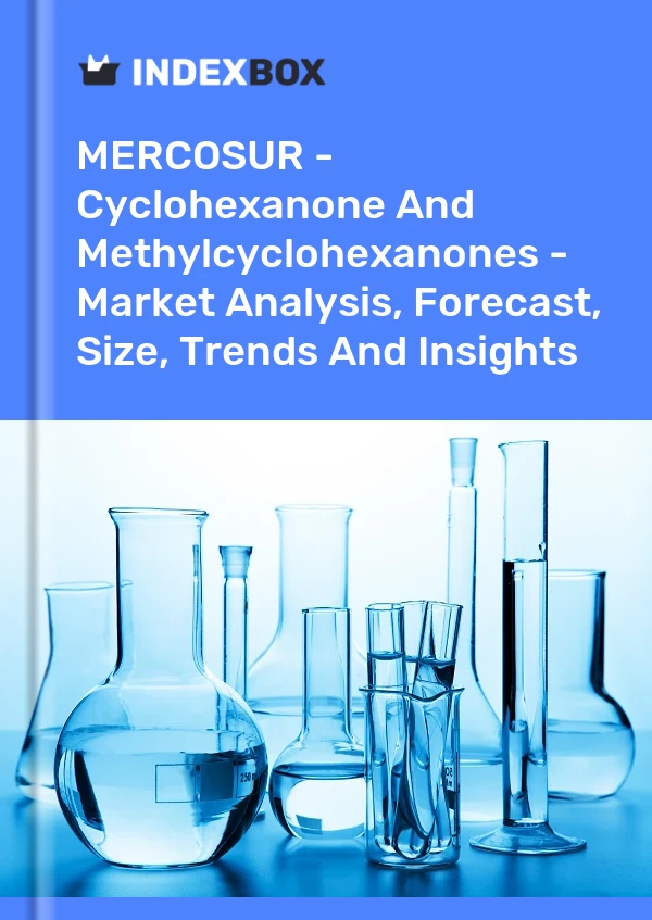 Report MERCOSUR - Cyclohexanone and Methylcyclohexanones - Market Analysis, Forecast, Size, Trends and Insights for 499$
