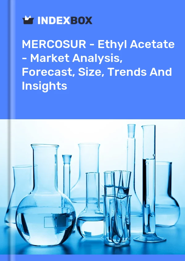 Report MERCOSUR - Ethyl Acetate - Market Analysis, Forecast, Size, Trends and Insights for 499$