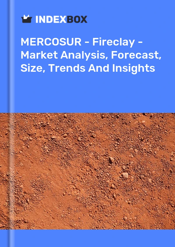Report MERCOSUR - Fireclay - Market Analysis, Forecast, Size, Trends and Insights for 499$