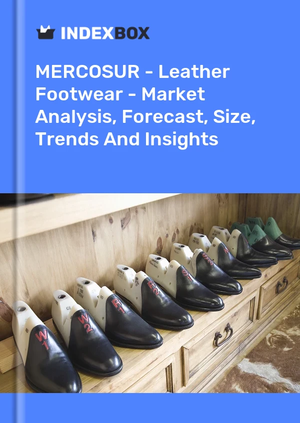 Report MERCOSUR - Leather Footwear - Market Analysis, Forecast, Size, Trends and Insights for 499$