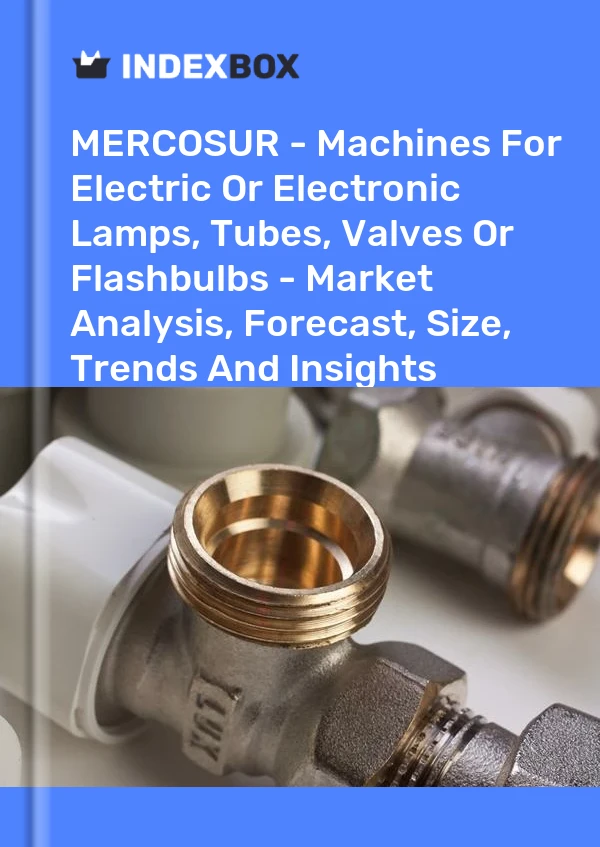 Report MERCOSUR - Machines for Electric or Electronic Lamps, Tubes, Valves or Flashbulbs - Market Analysis, Forecast, Size, Trends and Insights for 499$