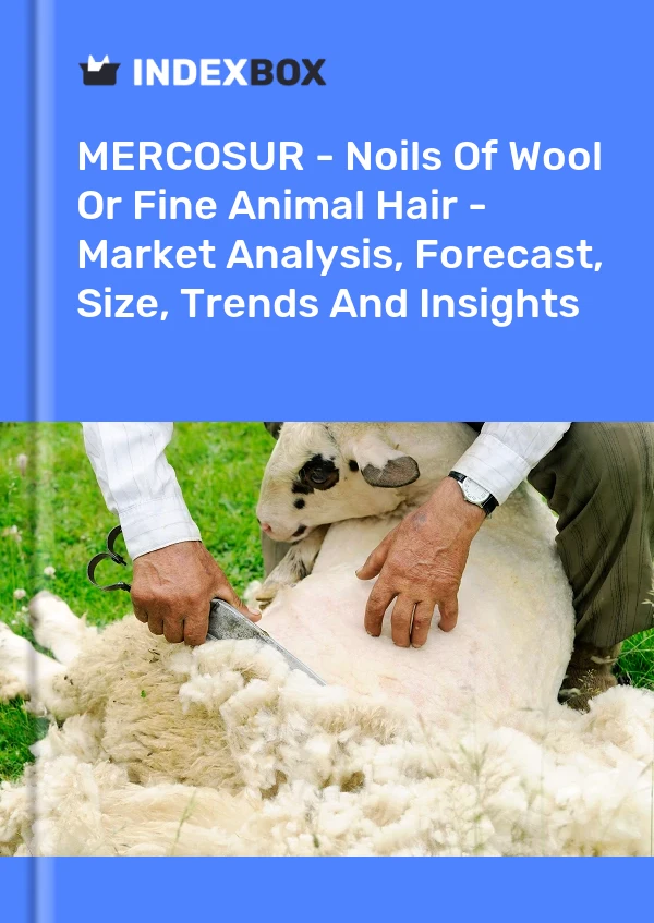 Report MERCOSUR - Noils of Wool or Fine Animal Hair - Market Analysis, Forecast, Size, Trends and Insights for 499$