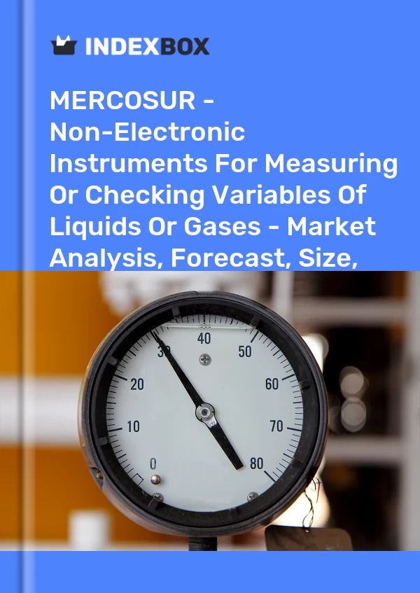 Report MERCOSUR - Non-Electronic Instruments for Measuring or Checking Variables of Liquids or Gases - Market Analysis, Forecast, Size, Trends and Insights for 499$
