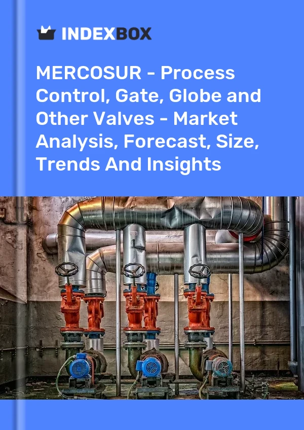 Report MERCOSUR - Process Control, Gate, Globe and Other Valves - Market Analysis, Forecast, Size, Trends and Insights for 499$