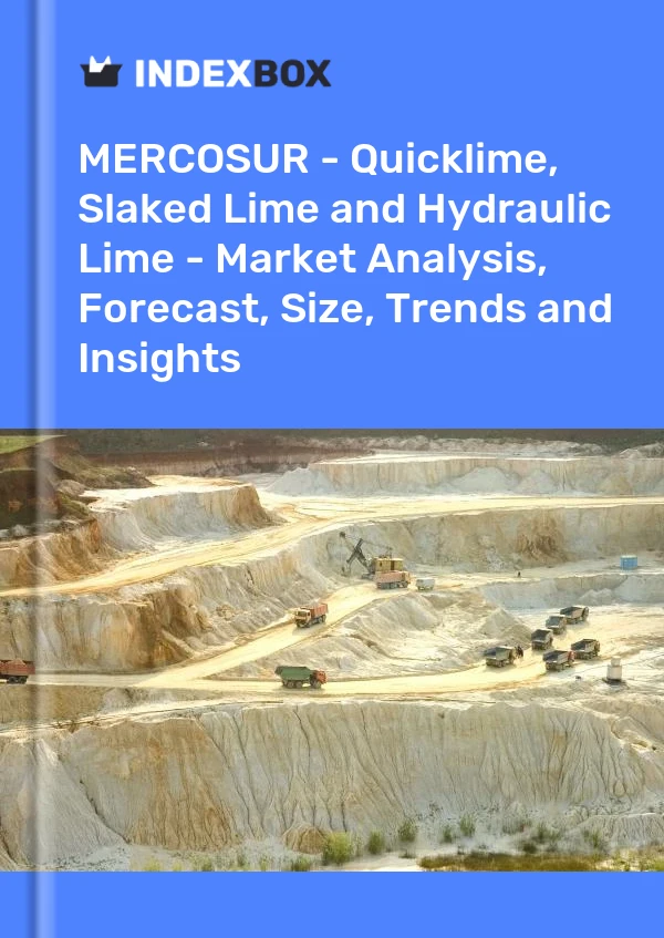 Report MERCOSUR - Quicklime, Slaked Lime and Hydraulic Lime - Market Analysis, Forecast, Size, Trends and Insights for 499$