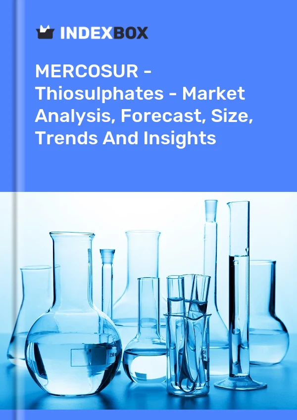 Report MERCOSUR - Thiosulphates - Market Analysis, Forecast, Size, Trends and Insights for 499$
