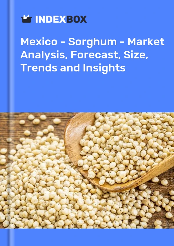 Mexico - Sorghum - Market Analysis, Forecast, Size, Trends and Insights