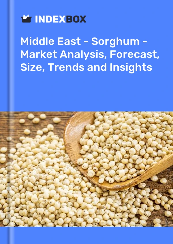 Report Middle East - Sorghum - Market Analysis, Forecast, Size, Trends and Insights for 499$