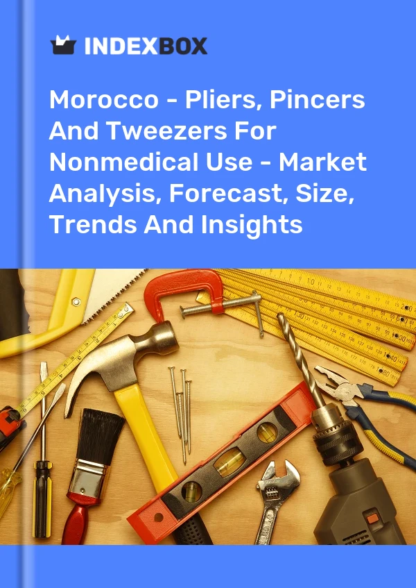 Report Morocco - Pliers, Pincers and Tweezers for Nonmedical Use - Market Analysis, Forecast, Size, Trends and Insights for 499$