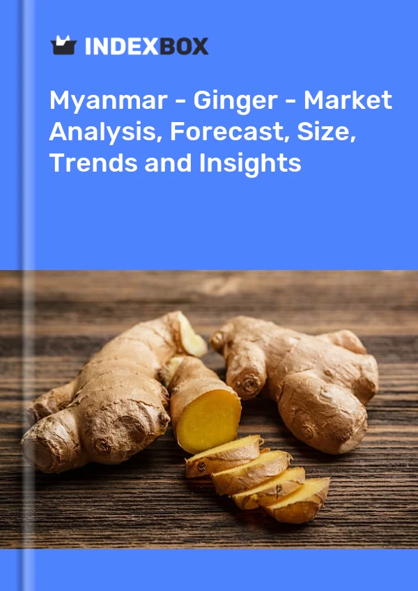 Myanmar - Ginger - Market Analysis, Forecast, Size, Trends and Insights