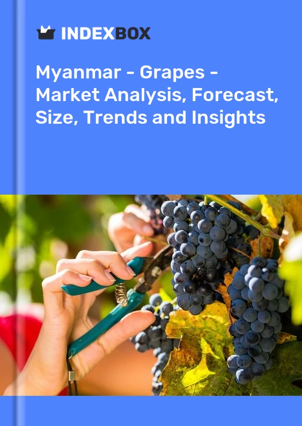 Myanmar - Grapes - Market Analysis, Forecast, Size, Trends and Insights