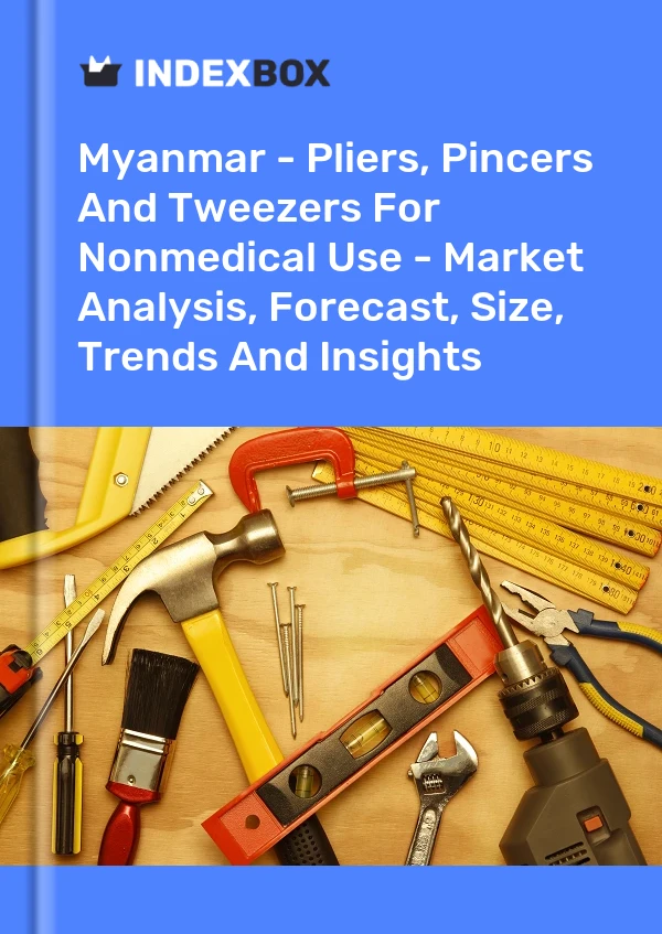 Report Myanmar - Pliers, Pincers and Tweezers for Nonmedical Use - Market Analysis, Forecast, Size, Trends and Insights for 499$