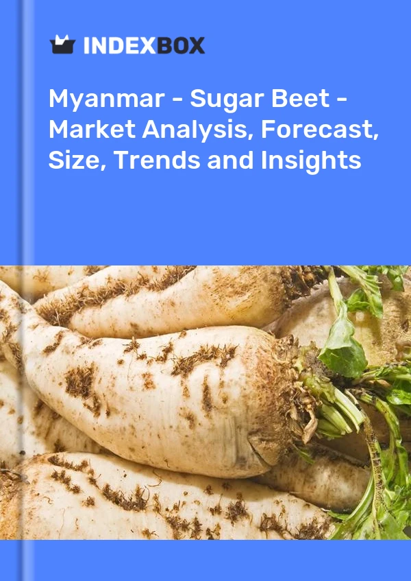 Report Myanmar - Sugar Beet - Market Analysis, Forecast, Size, Trends and Insights for 499$