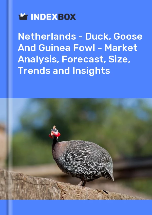 Report Netherlands - Duck, Goose and Guinea Fowl - Market Analysis, Forecast, Size, Trends and Insights for 499$