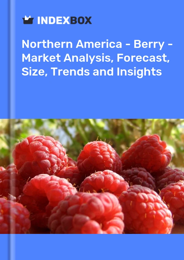 Report Northern America - Berry - Market Analysis, Forecast, Size, Trends and Insights for 499$