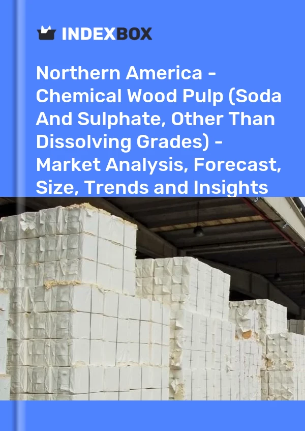 Report Northern America - Chemical Wood Pulp (Soda and Sulphate, Other Than Dissolving Grades) - Market Analysis, Forecast, Size, Trends and Insights for 499$