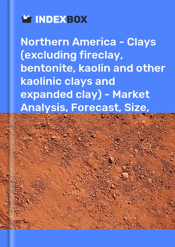 Report Northern America - Clays (excluding fireclay, bentonite, kaolin and other kaolinic clays and expanded clay) - Market Analysis, Forecast, Size, Trends and Insights for 499$