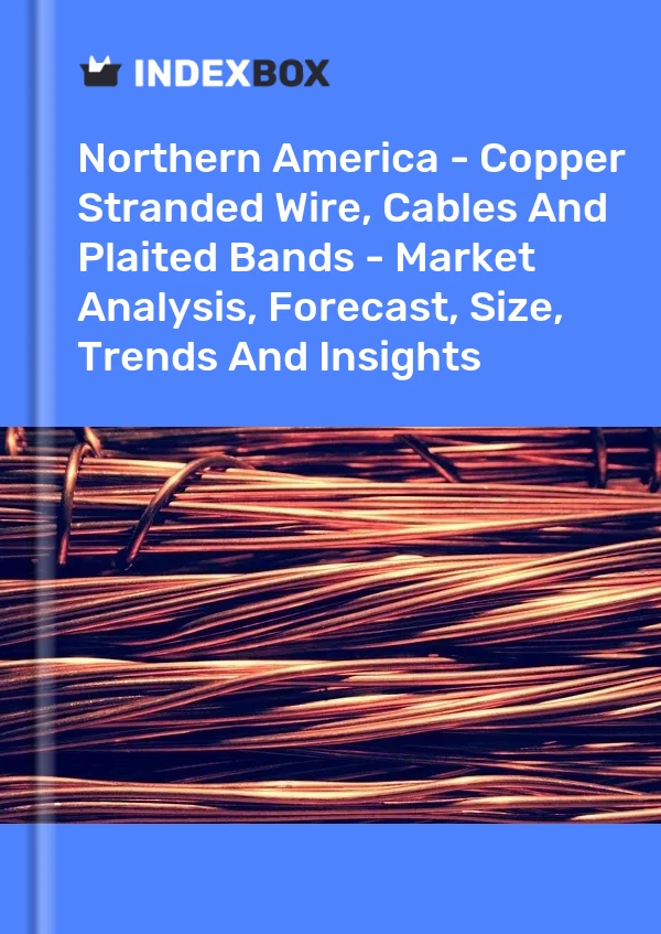 Report Northern America - Copper Stranded Wire, Cables and Plaited Bands - Market Analysis, Forecast, Size, Trends and Insights for 499$