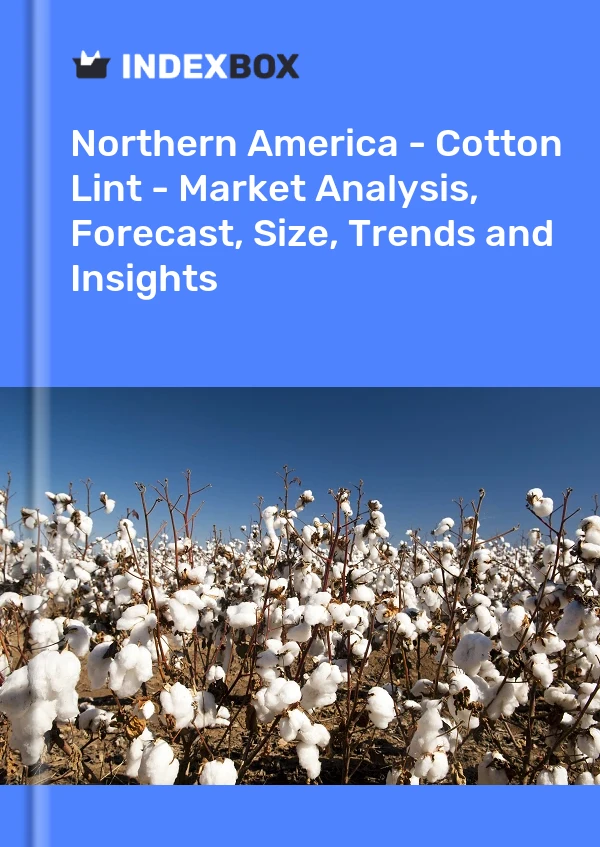 Report Northern America - Cotton Lint - Market Analysis, Forecast, Size, Trends and Insights for 499$