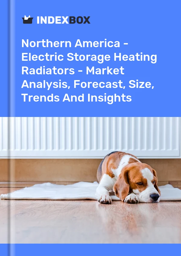 Report Northern America - Electric Storage Heating Radiators - Market Analysis, Forecast, Size, Trends and Insights for 499$