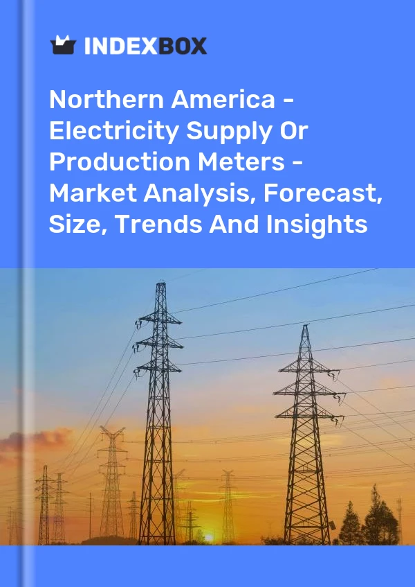 Report Northern America - Electricity Supply or Production Meters - Market Analysis, Forecast, Size, Trends and Insights for 499$