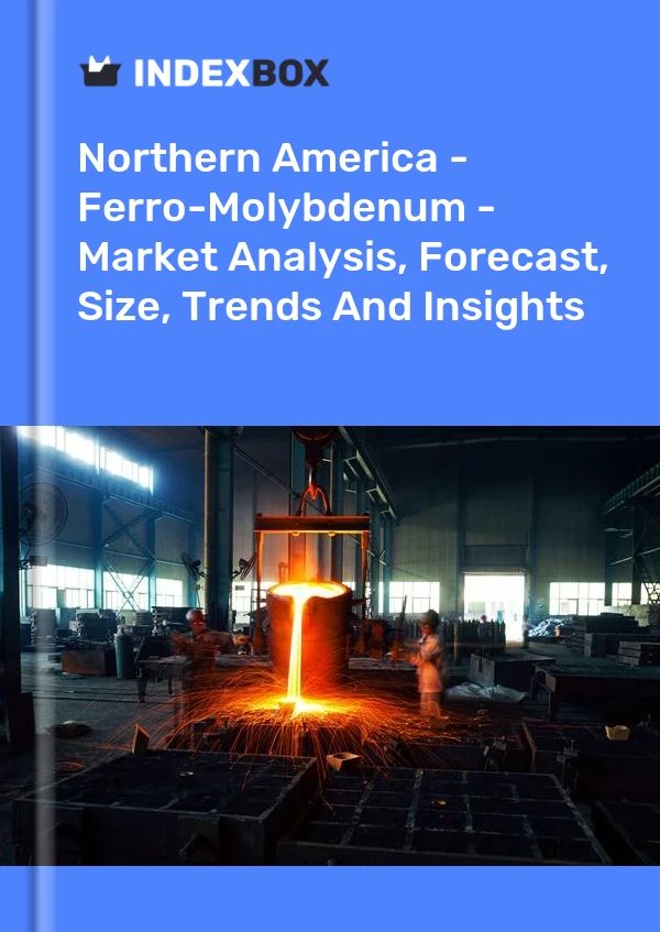 Report Northern America - Ferro-Molybdenum - Market Analysis, Forecast, Size, Trends and Insights for 499$