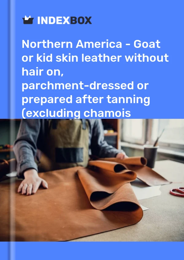 Report Northern America - Goat or kid skin leather without hair on, parchment-dressed or prepared after tanning (excluding chamois leather, patent leather, patent laminated leather and metallised leather) - Market Analysis, Forecast, Size, Trends and Insights for 499$