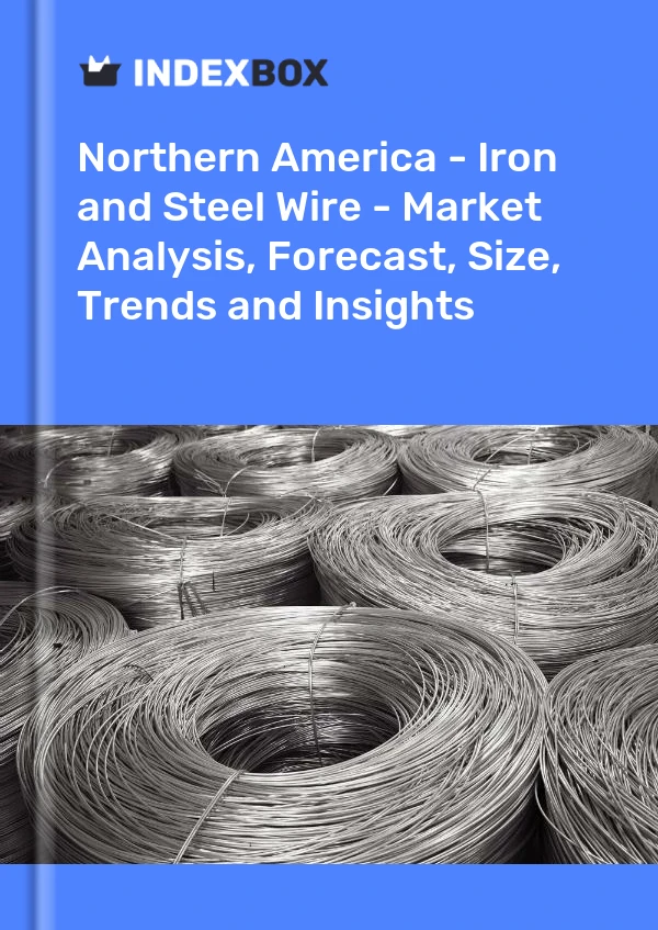 Report Northern America - Iron and Steel Wire - Market Analysis, Forecast, Size, Trends and Insights for 499$