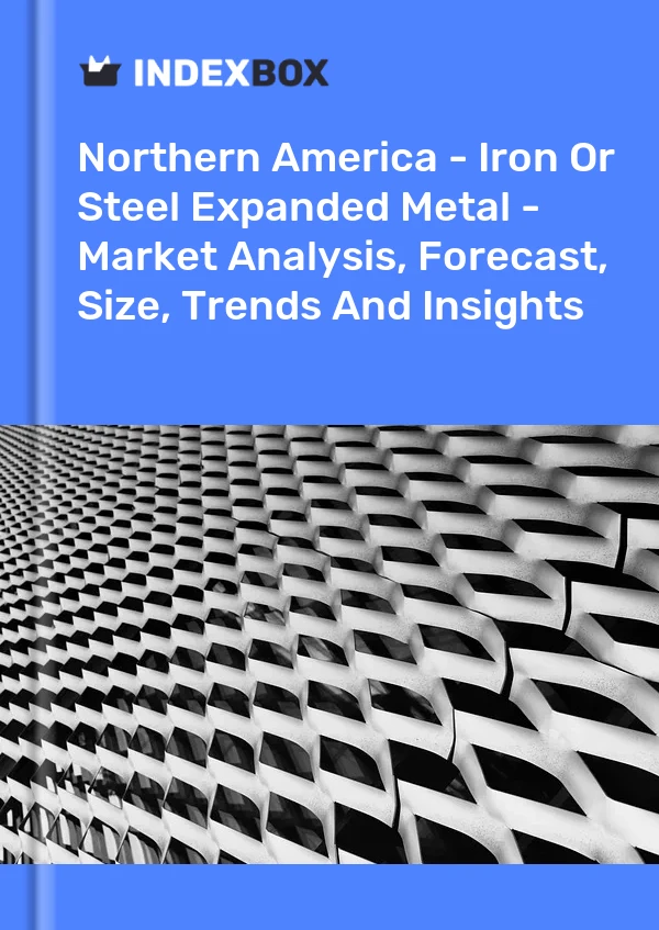 Report Northern America - Iron or Steel Expanded Metal - Market Analysis, Forecast, Size, Trends and Insights for 499$