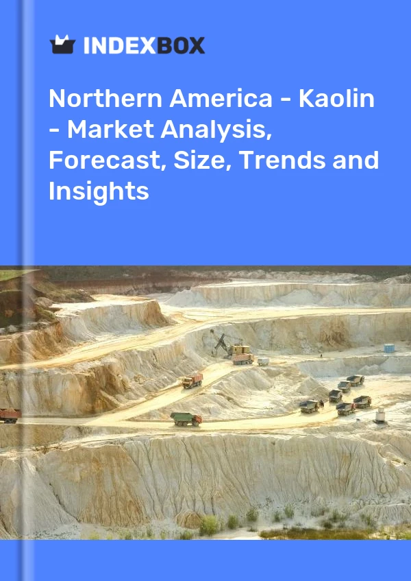 Report Northern America - Kaolin - Market Analysis, Forecast, Size, Trends and Insights for 499$