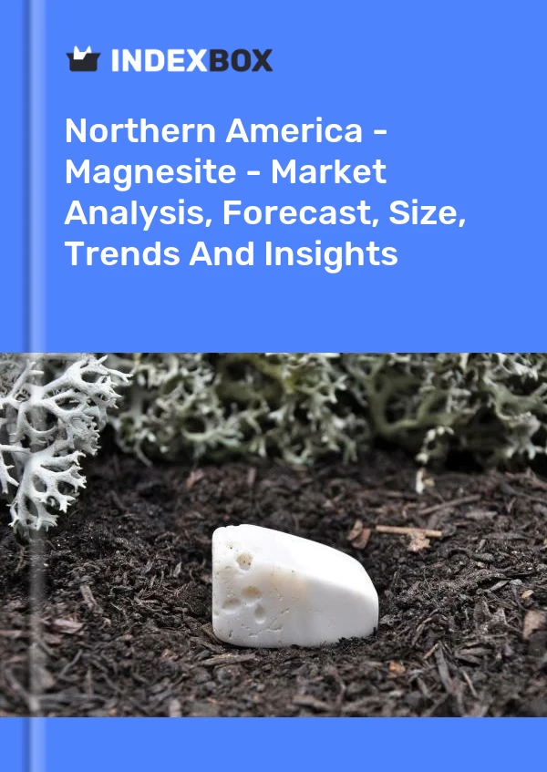 Report Northern America - Magnesite - Market Analysis, Forecast, Size, Trends and Insights for 499$