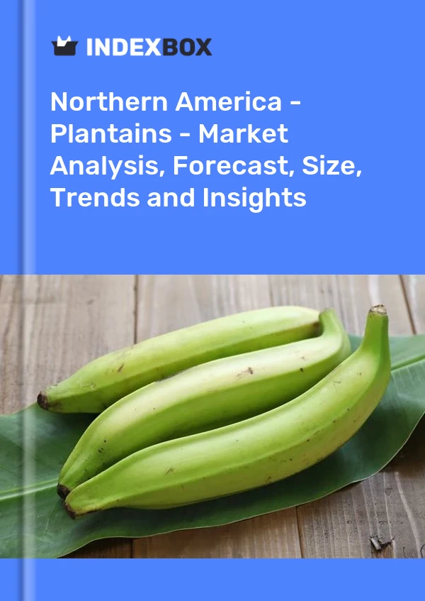 Report Northern America - Plantains - Market Analysis, Forecast, Size, Trends and Insights for 499$