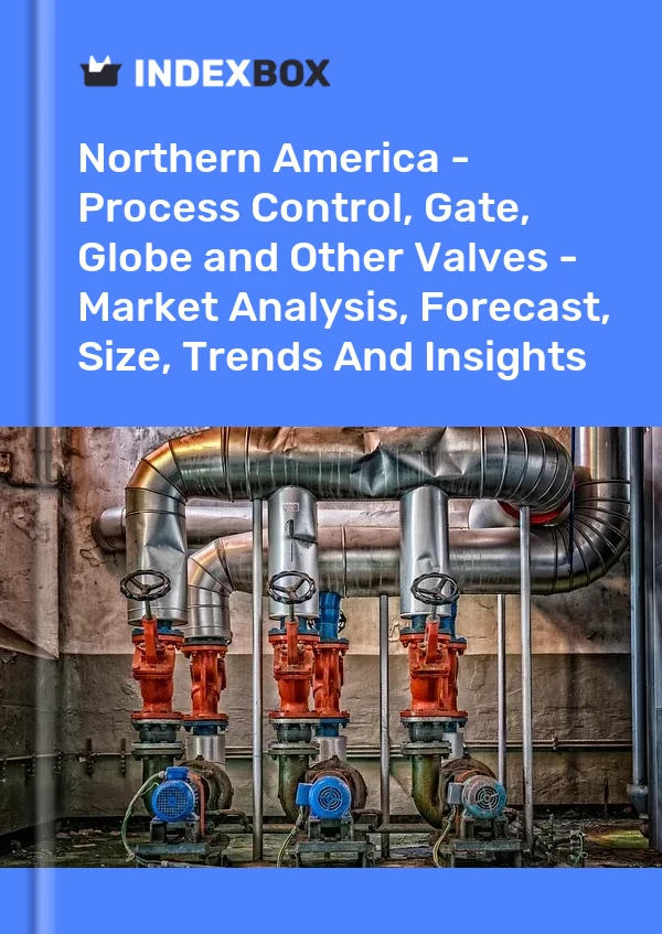 Report Northern America - Process Control, Gate, Globe and Other Valves - Market Analysis, Forecast, Size, Trends and Insights for 499$