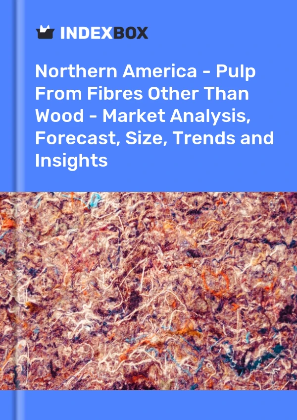 Report Northern America - Pulp From Fibres Other Than Wood - Market Analysis, Forecast, Size, Trends and Insights for 499$