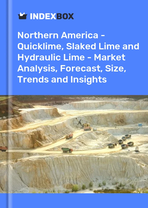 Report Northern America - Quicklime, Slaked Lime and Hydraulic Lime - Market Analysis, Forecast, Size, Trends and Insights for 499$