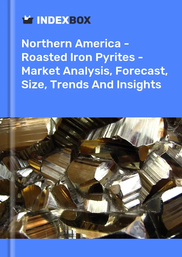 Report Northern America - Roasted Iron Pyrites - Market Analysis, Forecast, Size, Trends and Insights for 499$