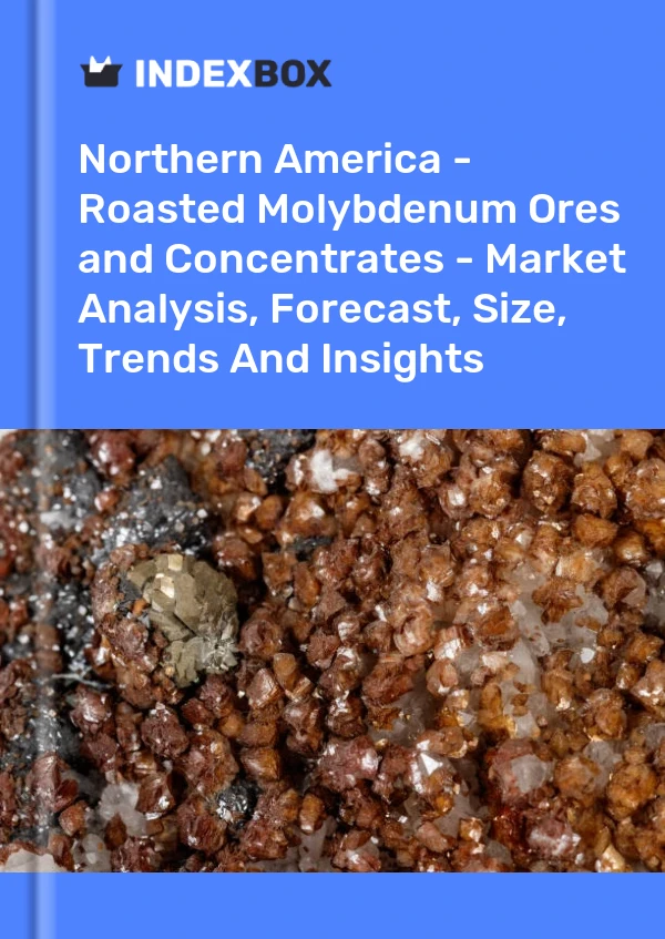 Report Northern America - Roasted Molybdenum Ores and Concentrates - Market Analysis, Forecast, Size, Trends and Insights for 499$
