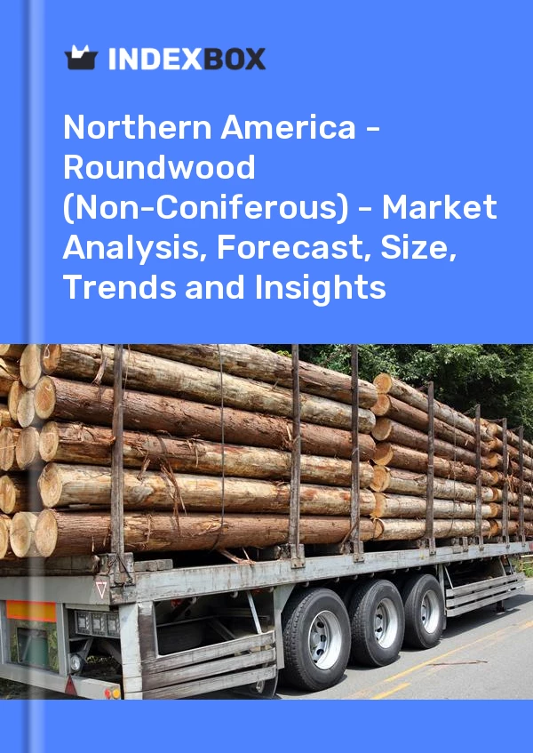 Report Northern America - Roundwood (Non-Coniferous) - Market Analysis, Forecast, Size, Trends and Insights for 499$