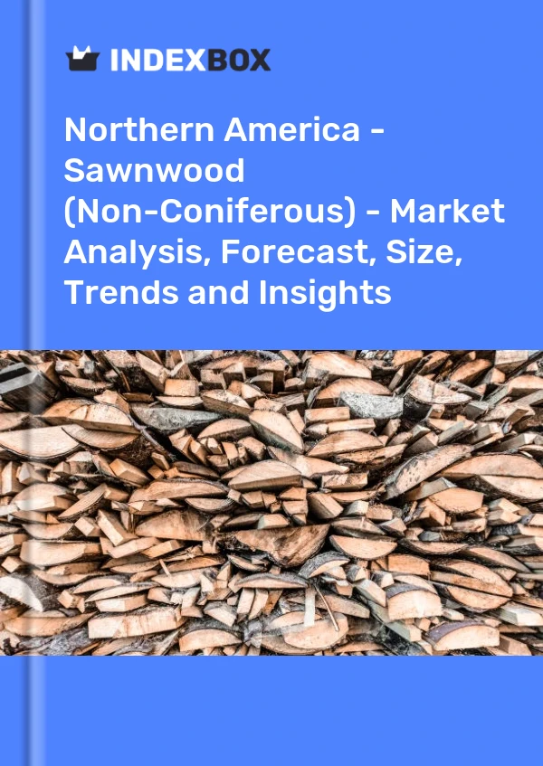 Report Northern America - Sawnwood (Non-Coniferous) - Market Analysis, Forecast, Size, Trends and Insights for 499$