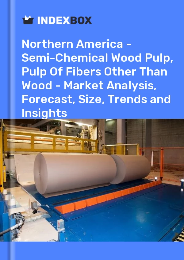 Report Northern America - Semi-Chemical Wood Pulp, Pulp of Fibers Other Than Wood - Market Analysis, Forecast, Size, Trends and Insights for 499$