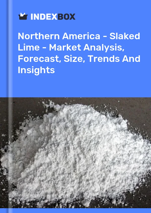 Report Northern America - Slaked Lime - Market Analysis, Forecast, Size, Trends and Insights for 499$