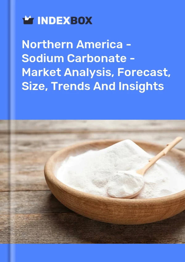 Report Northern America - Sodium Carbonate - Market Analysis, Forecast, Size, Trends and Insights for 499$